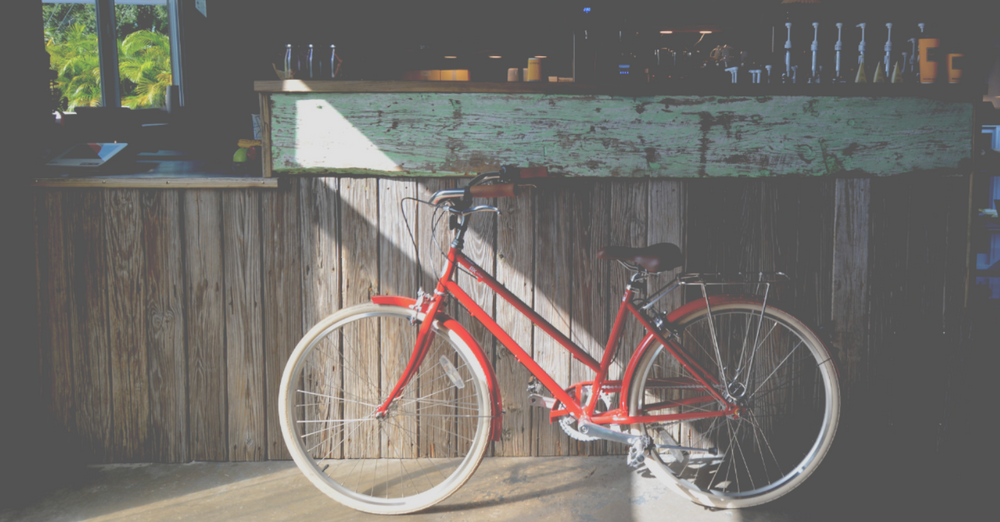 New pedal bike discount shop